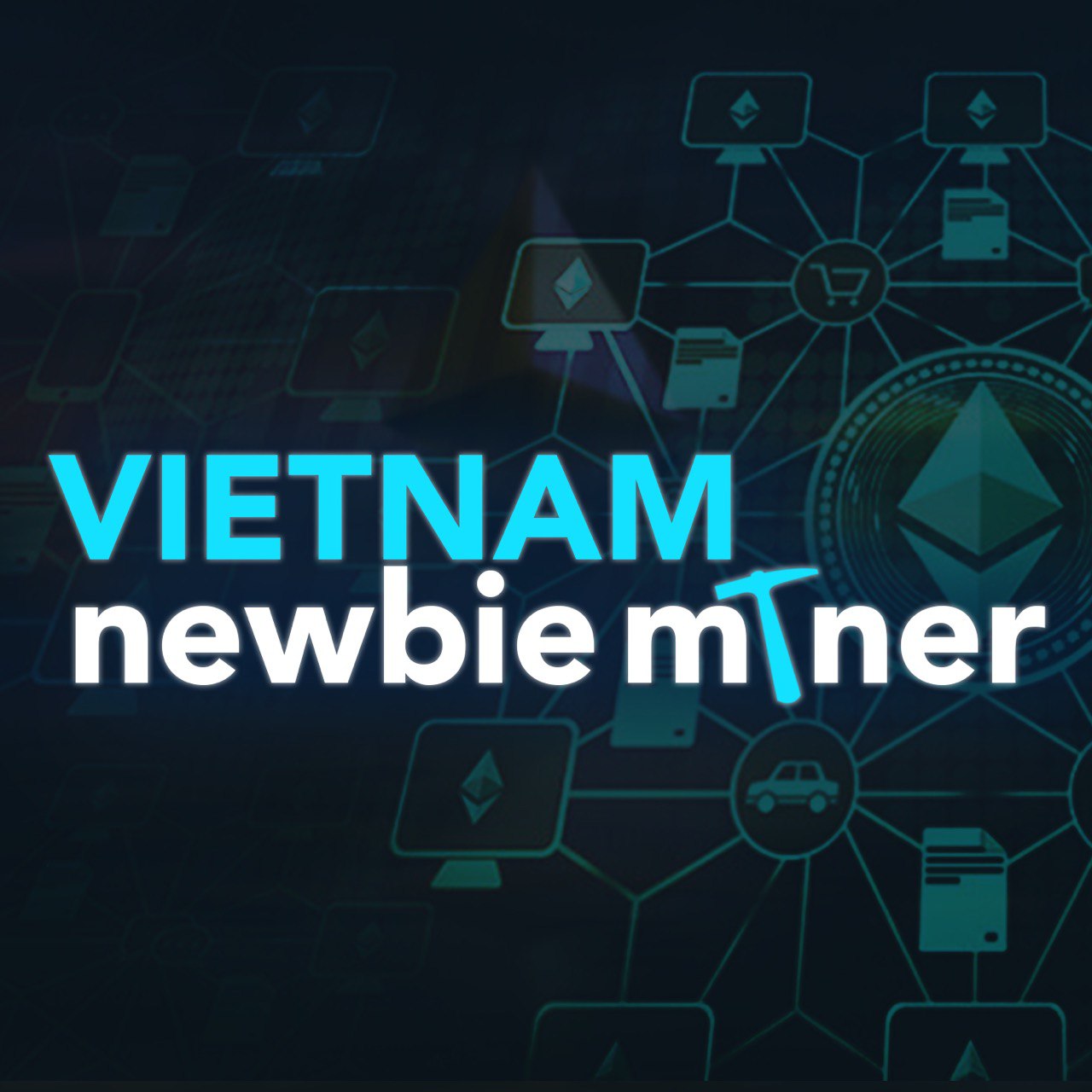 Vietnam Newbie Miner